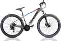 Geared Cycles